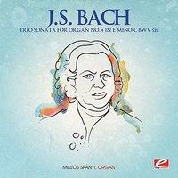 J.S. Bach: Trio Sonata for Organ No. 4 in E Minor, BWV 528
