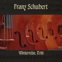 Franz Schubert: Winterreise, D.911