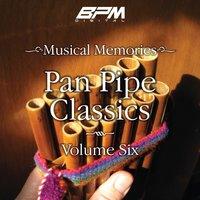 Pan Pipe Classics, Vol. 6
