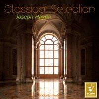 Classical Selection - Haydn: Piano Concertos with Orchestra