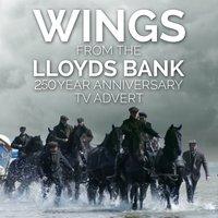 Wings from the Lloyds Bank "250 Year Anniversary" T.V. Advert