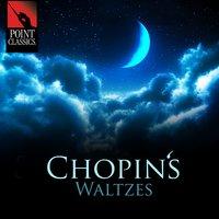 Chopin's Waltzes