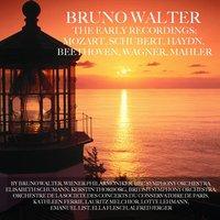 Bruno Walter The Early Recordings: Mozart, Schubert, Haydn, Beethoven, Wagner, Mahker