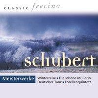 Classic Feeling: Meisterwerke Schubert