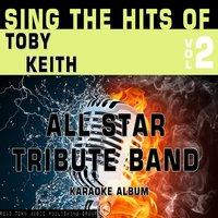 Sing the Hits of Toby Keith, Vol. 2