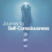Journey to Self-Consciousness