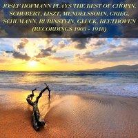 Josef Hofmann Plays the Best of Chopin, Schubert, Liszt, Mendelssohn, Grieg, Schumann, Rubinstein, Gluck, Beethoven