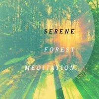 Serene Forest Meditation