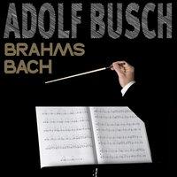 Brahms, Bach