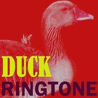 Duck Ringtone