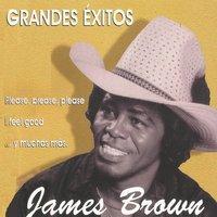 Grandes Éxitos, James Brown