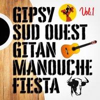 Gipsys, sud-ouest, gitans et manouches fiesta, Vol. 1