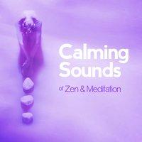 Calming Sounds of Zen & Meditation
