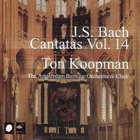 J.S. Bach: Cantatas Vol. 14
