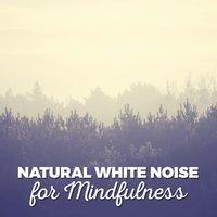 Natural White Noise for Mindfulness