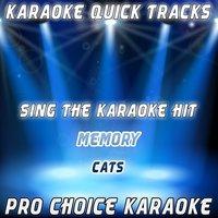 Karaoke Quick Tracks : Memory