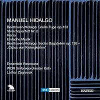 Manuel Hidalgo: Beethoven