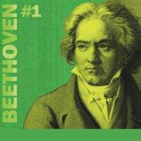 The Best of Ludwig van Beethoven #1