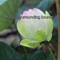 73 Soul Surrounding Sounds