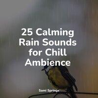 25 Calming Rain Sounds for Chill Ambience