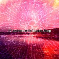 77 Ambience to Inspire Sleep