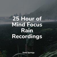 25 Hour of Mind Focus Rain Recordings
