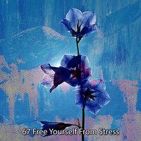 67 Free Yourself from Stress