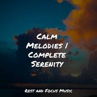 Calm Melodies | Complete Serenity