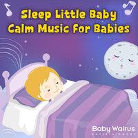 Sleep Little Baby | Calm Music For Babies