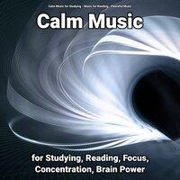 Calm Music for Studying, Reading, Focus, Concentration, Brain Power