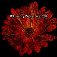 80 Living World Sounds