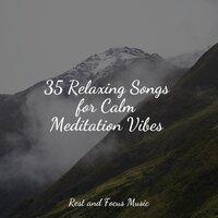 35 Relaxing Songs for Calm Meditation Vibes