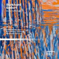 Burkhard Egdorf: Chamber Music for Strings