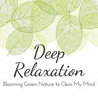 Blooming Green Nature To Clear My Mind - Deep Relaxation