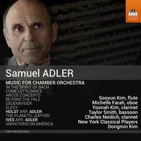 Adler: Chamber Orchestral Works