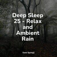 Deep Sleep 25 - Relax and Ambient Rain