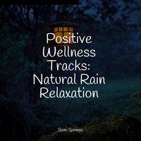 Positive Wellness Tracks: Natural Rain Relaxation