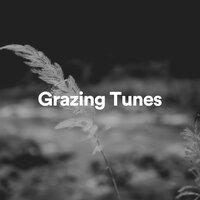 Grazing Tunes