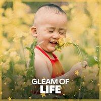 Gleam of Life
