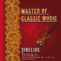 Master of Classic Music, Sibelius - Finlandia Op. 26, Valse TristeOp. 44, the Swan of Tuonela No. 3, Op. 22, Bolero (Festivo)