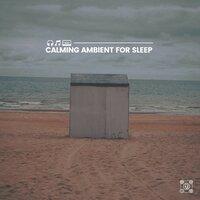 Calming Ambient for Sleep