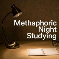 Methaphoric Night Studying