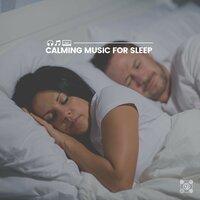 Calming Music for Sleep