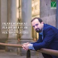 Franz Schubert: Piano Sonatas, D. 845 & D. 850