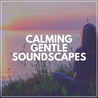 Calming Gentle Soundscapes