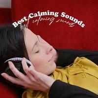 Best Calming Sounds