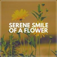 Serene Smile of a Flower