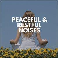 Peaceful & Restful Noises