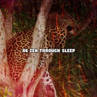 46 Zen Through Sleep
