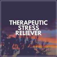 Therapeutic Stress Reliever